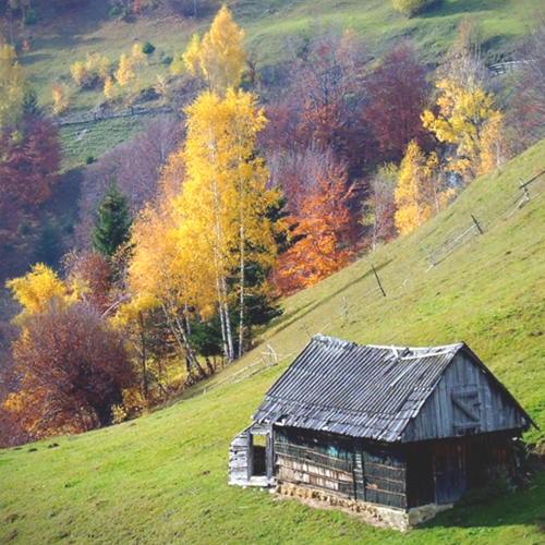 Smrt staroste Vlasena